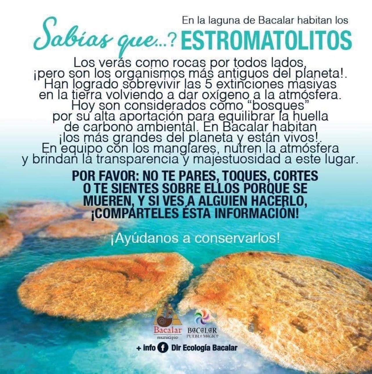 Casa Villa Real- Lagoon Acces And Stunning Views! Bacalar Exteriér fotografie